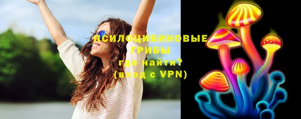 первитин Вяземский