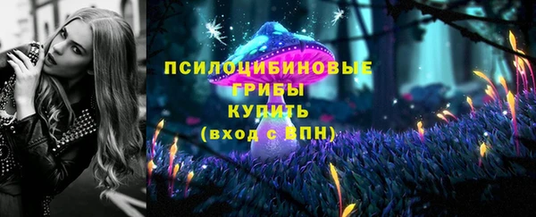 твердый Вязьма