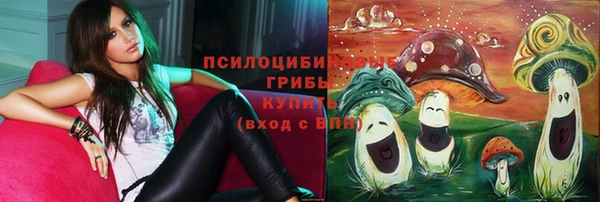 первитин Вяземский