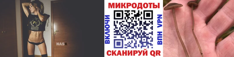 Галлюциногенные грибы Magic Shrooms Камышлов